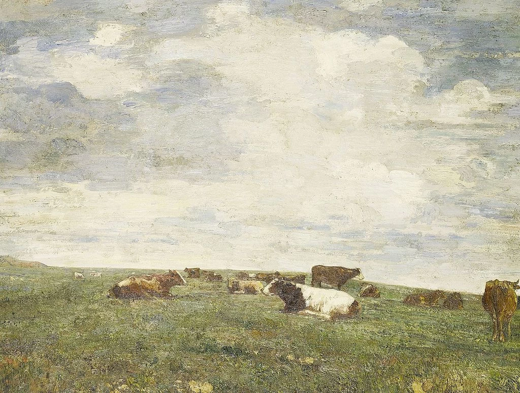 Pascolo alpino